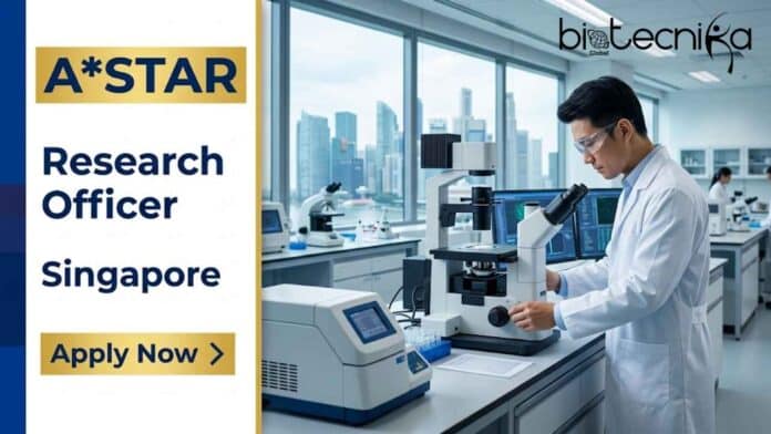 Explore a research officer job at ASTAR IHDP. Apply now for this life science job in human development research and advance your ASTAR careers journey.