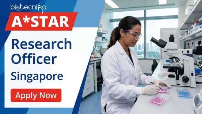Apply for a research officer job at A*STAR ID Labs. Work on antiviral therapeutics, virology research, and vaccine development in Singapore.