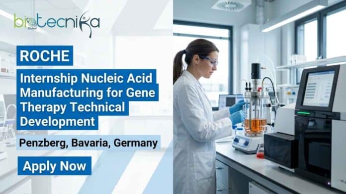 Apply for a gene therapy internship at Roche in Germany. Gain experience in nucleic acid manufacturing, plasmid DNA, and biotech innovation.