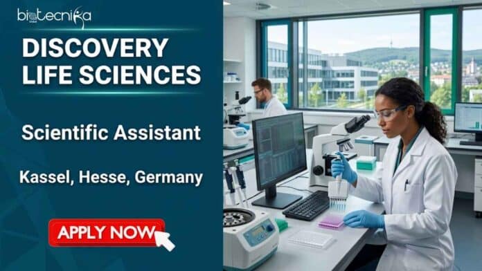 Explore a scientific assistant job at Discovery Life Sciences in Germany. Apply now for BS biology job roles in biospecimen research and lab validation.