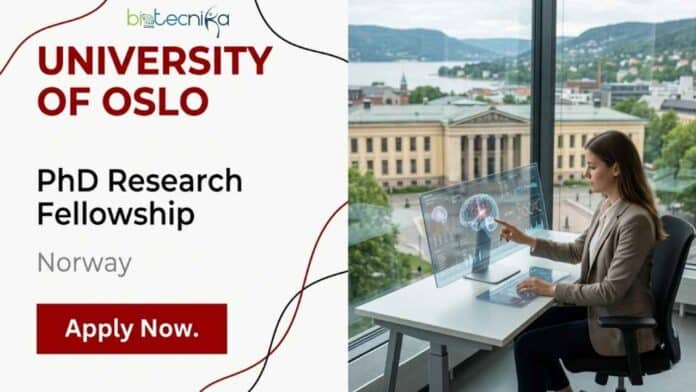 Apply for a research fellowship at the University of Oslo for a PhD in cancer epigenomics. Ideal molecular biology job in Norway.