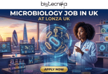 Latest Microbiology Job in UK at Lonza | Life Science Graduates Are Eligible Latest Microbiology Job in UK at Lonza Life Science Graduates Are Eligible. A wide, detailed promotional job banner for biotecnika Global, featuring a futuristic, high-tech microbiology laboratory set against the London, UK skyline at dusk. At the top, the biotecnika logo with Global text is centered on a deep blue banner. Below it, the large, prominent headline text reads: MICROBIOLOGY JOB IN UK in white, with AT LONZA UK in smaller gold text below. The central figure is a young, curly-haired Black female scientist in a white lab coat with Union Jack flag pins, looking with focused intent and pointing at a massive, intricate 3D holographic projection. The projection displays a complex array of diverse microorganisms (including bacteria, viruses, and phages) with underlying data streams and grid patterns. To her left, a large window reveals the iconic London cityscape (including the Shard and Gherkin), with multiple computer monitors displaying detailed scientific data. To her right, shelves and a wall are filled with various glowing petri dishes and flasks, along with more monitors and a range of colored vials and equipment on the desk. At the very bottom, a large gold-colored button with text reads: APPLY NOW. The entire scene blends real physical objects with glowing digital interfaces and data, creating a scroll-stopping, viral, unique, and relatable visual for a high-level research position.