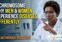 X Chromosome Breakthrough: Why Men and Women Experience Diseases Differently X chromosome research reveals how genes shape disease risk, drug response, and key biological differences between men and women.