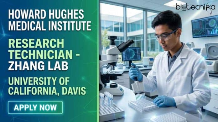Apply for a research technician job at HHMI, University of California, Davis. Explore careers in biological sciences with hands-on lab experience and mentorship.