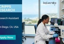 Research Assistant Job at Scripps Research | Apply for a Clinical Role in the USA Explore a research assistant job at Scripps Research in the USA. Apply for biology jobs with clinical lab experience in a leading institute.