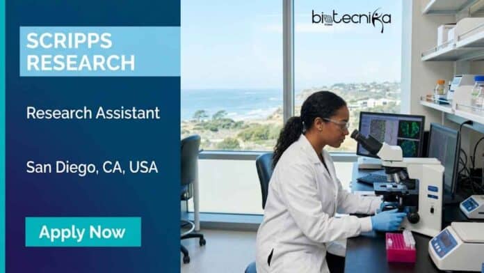 Explore a research assistant job at Scripps Research in the USA. Apply for biology jobs with clinical lab experience in a leading institute.