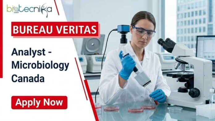 Microbiology job at Bureau Veritas Canada for Analyst – Microbiology in Mississauga, Ontario. Apply for this exciting analyst job in laboratory services today.