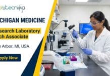 Freshers Research Lab Associate Job at Michigan Medicine | Molecular Biology Career Opportunity in the US Apply for a research lab associate job at Michigan Medicine in Ann Arbor, MI. Explore this molecular biology job with microbiome research experience and excellent benefits.