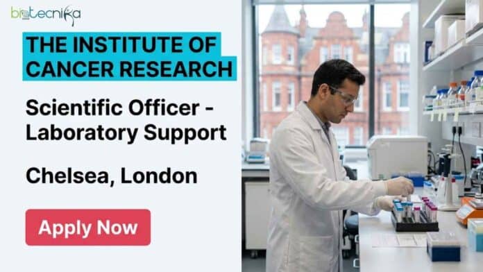 Apply for the latest scientific officer job at The Institute of Cancer Research London. Explore molecular biology job opportunities, ICR careers, salary details, qualifications, and jobs in London.