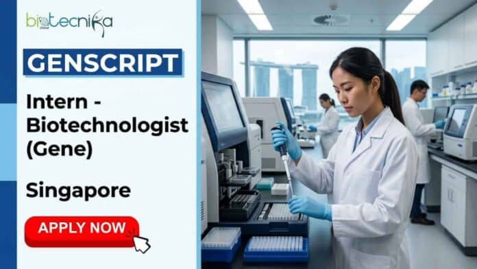 Apply for the Biotech Intern role at GenScript Singapore. Explore GenScript careers, life sciences jobs, molecular biology internship details, qualifications, and responsibilities.