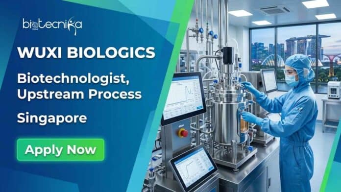 Apply for the Biotechnologist job in Singapore at WuXi Biologics. Freshers and biochemistry graduates can explore this exciting upstream process opportunity in the pharmaceutical industry.