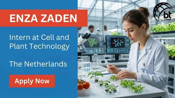 Biology intern opportunity at Enza Zaden Netherlands for plant biology and biotechnology students. Apply for this biotech job in Netherlands with laboratory research experience.
