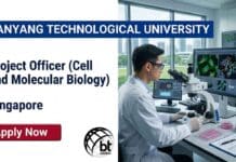 Molecular Biology Job at NTU, Singapore | Apply for a Project Officer Role Apply for a molecular biology job at Nanyang Technological University Singapore as a Project Officer in Cell and Molecular Biology. Explore NTU careers in biological sciences jobs.