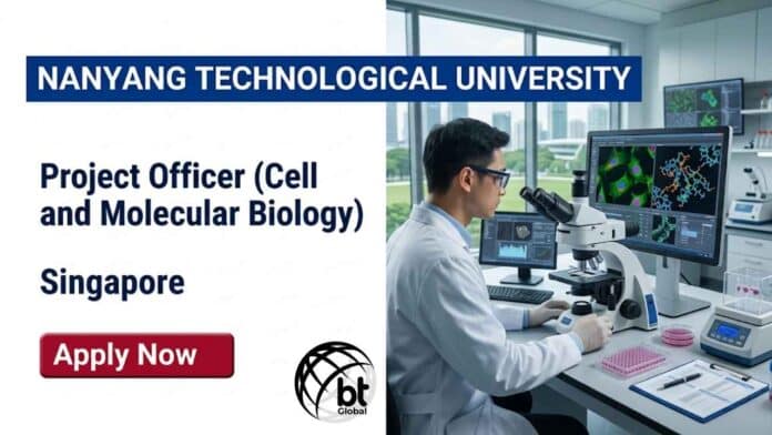 Apply for a molecular biology job at Nanyang Technological University Singapore as a Project Officer in Cell and Molecular Biology. Explore NTU careers in biological sciences jobs.
