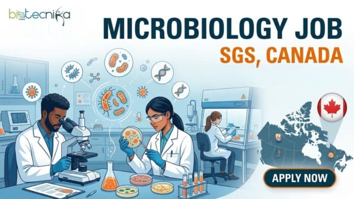 Microbiology Job at SGS. Apply Now For Microbiology Analyst Role & Earn Upto $33.00 per hour. Job Opportunity in Canada.