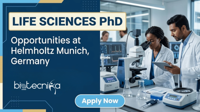 Apply For a Life Sciences PhD at Helmholtz Munich. Join the IAF team To Research B Cell Immunology and Allergies. Start your PhD.