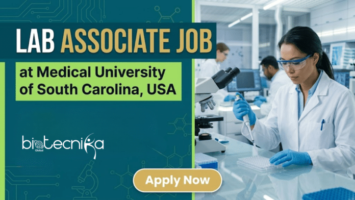 Laboratory Associate Job at Medical University of South Carolina, USA. Biological Sciences Candidates, Apply Now. Laboratory Associate Job at Medical University of South Carolina, USA. Biological Sciences Candidates, Apply Now.