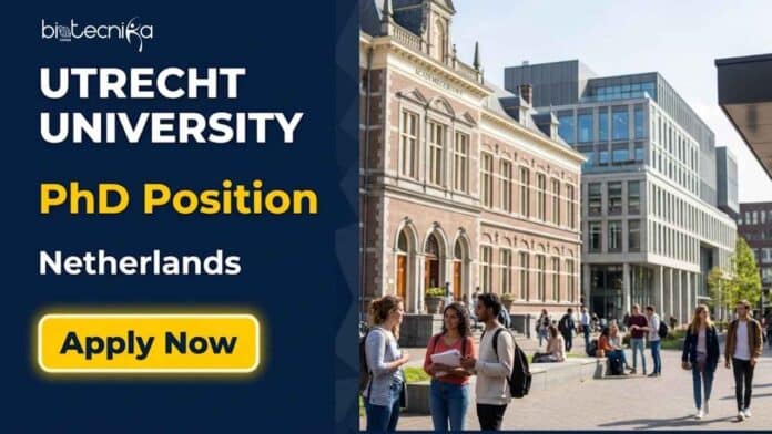 Explore this PhD vacancy at Utrecht University in the Netherlands focusing on biofabrication, synthetic biology, optogenetics, and regenerative medicine research.