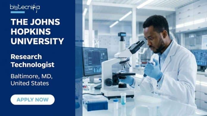 Apply for a Research Technologist Job at Johns Hopkins University in Baltimore, USA. Opportunity for biology graduates with molecular biology and bioinformatics experience.