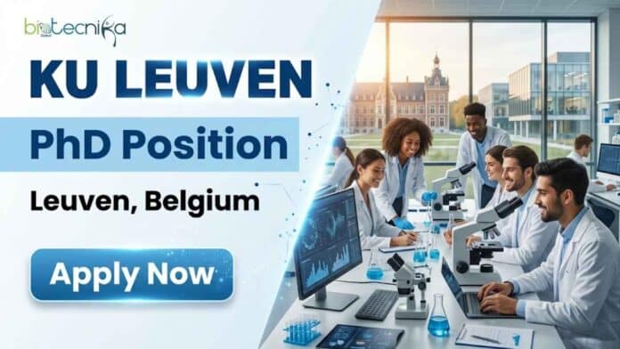 Apply for a PhD vacancy in Protein Embeddings and Computational Modelling at KU Leuven, Belgium. Fully funded bioinformatics job with a 4-year PhD opportunity.