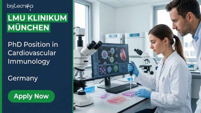 Apply for a PhD position in cardiovascular immunology at LMU Klinikum München, Germany. Explore this immunology job with training in omics, imaging, and translational biomedical research.
