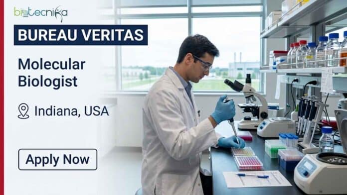 Apply for a molecular biology job at Bureau Veritas in Indianapolis, USA. Explore the Molecular Biologist I position, responsibilities, qualifications, and career opportunities.