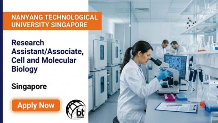 Research Assistant Job at NTU Singapore's LKCMedicine. Join a leading biomedical sciences research team and build your career in Singapore's life sciences sector.