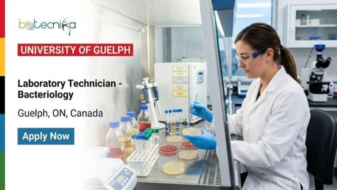 Apply for a Lab Technician Job in Canada at the University of Guelph. Explore this bacteriology job involving PCR, bacterial testing, sequencing, and laboratory diagnostics.