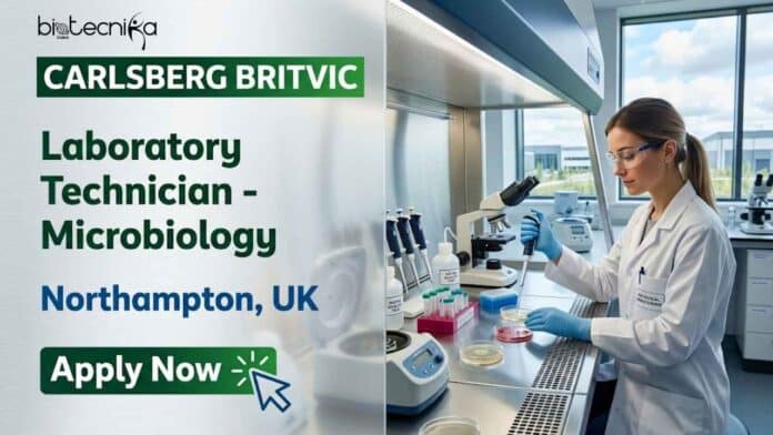 Apply for a microbiology job as a Laboratory Technician at Carlsberg Britvic, UK. Explore responsibilities, qualifications, salary benefits, and career opportunities.