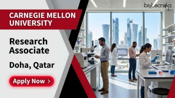 Research Associate job in Qatar at Carnegie Mellon University. Apply for this molecular biology job involving cancer research, genomics, cell culture, and data analysis.