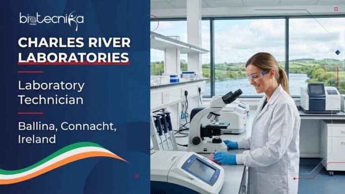 Lab technician job at Charles River Laboratories in Ireland. Apply for the Microbiologist role in Ballina with GMP microbiology, quality control, and biologics testing responsibilities.