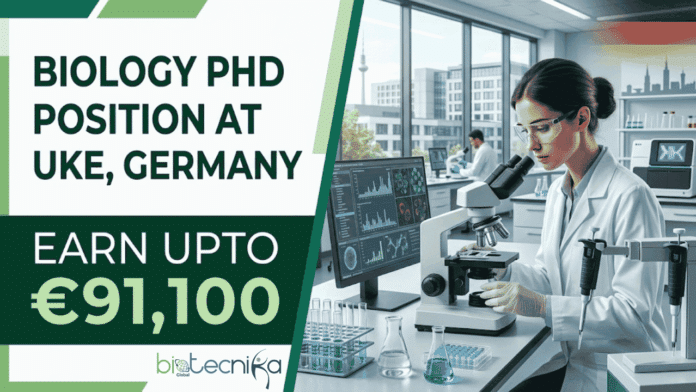 Biology PhD Position at UKE, Germany. Apply & Earn Upto €91,100. Advance your translational liver immunology career.
