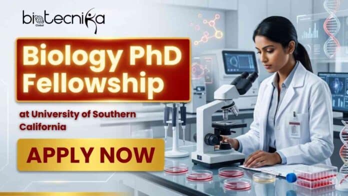 PhD Fellowship opportunity through USC Careers for Biology Fellowship in US researchers
