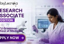 Research Associate Position at New York University | Apply Online Research Associate Position at NYU Grossman School of Medicine for Biochemistry and Molecular Pharmacology research | Job in US