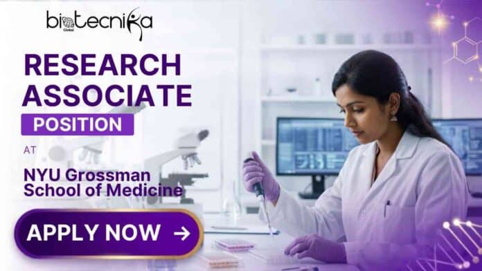 Research Associate Position at NYU Grossman School of Medicine for Biochemistry and Molecular Pharmacology research | Job in US