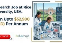 Research Job at Rice University, USA | Apply Now & Earn Upto $52,900 Research Job at Rice University. Apply Now & Earn Upto $52,900. Biomedical, Bioengineering, or Biology Research Opportunity in the USA.