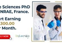 Life Sciences PhD at INRAE, France | Grab This Opportunity & Start Earning €2,300.00 Per Month Life Sciences PhD at French National Research Institute for Agriculture, Food, and Environment, France. Start Earning €2,300.00 Per Month.