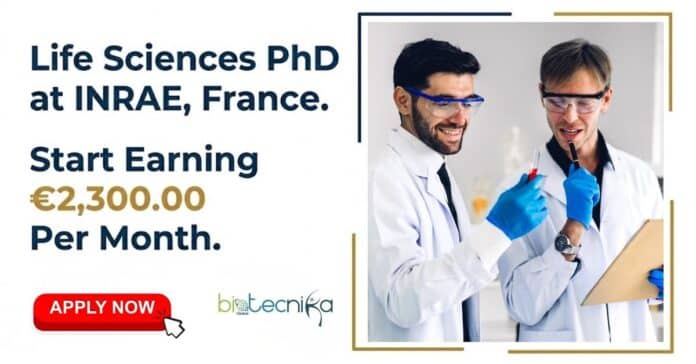 Life Sciences PhD at French National Research Institute for Agriculture, Food, and Environment, France. Start Earning €2,300.00 Per Month.