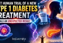 First Human Trial of a New Type 1 Diabetes Treatment Reveals an Unexpected Result A new Type 1 Diabetes Treatment Using Gene-Edited Cells Helped a Patient Produce Insulin Again in a First-In-Human Clinical Trial.