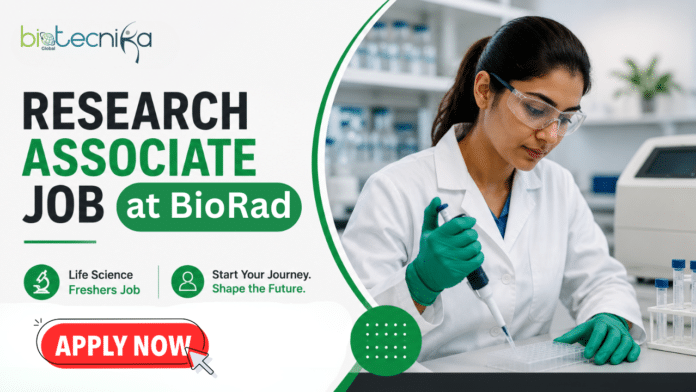 Freshers Research Associate Job at BioRad. Life Sciences Candidates, Apply Online. Job Opportunity in the USA & Earn $77,400 Annually.
