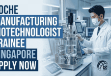 Biotechnology Trainee at Roche, Singapore | Apply Now For Manufacturing Biotechnologist Trainee Role Biotechnology Trainee at Roche, Singapore. Life Sciences Candidates, Apply Now For Manufacturing Biotechnologist Trainee Role.
