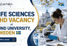 Life Sciences PhD Vacancy at Lund University, Sweden | Apply Now Life Sciences PhD Vacancy at Lund University. Cancer Epidemiology Doctoral Vacancy in Sweden. Apply Now & Advance Your Career.