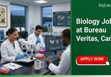 Biology Job at Bureau Veritas, Canada | Apply Online For Laboratory Analyst Role Biology Job at Bureau Veritas. Apply Online For Laboratory Analyst Role & Advance Your Career. Job Opportunity in Canada.