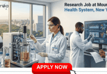 Research Job at Mount Sinai Health System, New York | Life Sciences Candidates, Apply Now & Earn Upto $80,211 Research Job at Mount Sinai Health System, New York. Cell Biology, Mol Biology, or Life Sciences Candidates, Apply Now & Earn Upto $80,211.