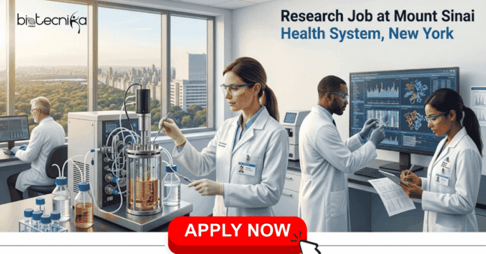 Research Job at Mount Sinai Health System, New York. Cell Biology, Mol Biology, or Life Sciences Candidates, Apply Now & Earn Upto $80,211.