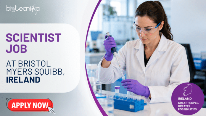 Scientist Job at Bristol Myers Squibb. Biological Sciences Candidates, Apply Online. Job Opportunity in Ireland.