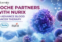 Roche Partners with Nurix to Advance Blood Cancer Therapy Roche partners with Nurix in a $2.3 billion deal to develop bexobrutideg, a promising blood cancer therapy using protein degradation.