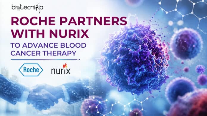 Roche partners with Nurix in a $2.3 billion deal to develop bexobrutideg, a promising blood cancer therapy using protein degradation.