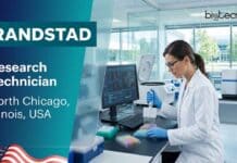 Research Technician Job at Randstad USA | Apply Online & Earn Upto $22.82 per hour Research technician job at Randstad USA in North Chicago, Illinois. Apply for this contract R&D Technician role and start your life sciences career with Randstad careers.