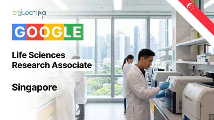 Research Associate Job at Google Singapore for Life Sciences Research Associate in the Debug team. Apply for this exciting life sciences job in insect biology and mosquito research.